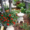 Flowers From Home