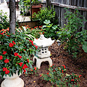 Crescent Hill Flowers