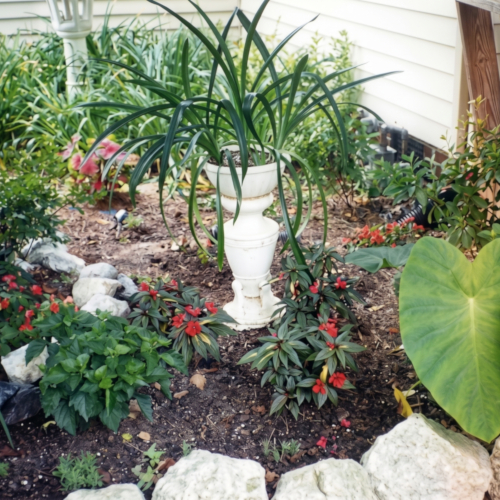 Deck Garden