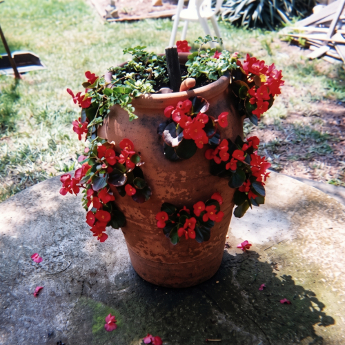 Concrete Table Planter