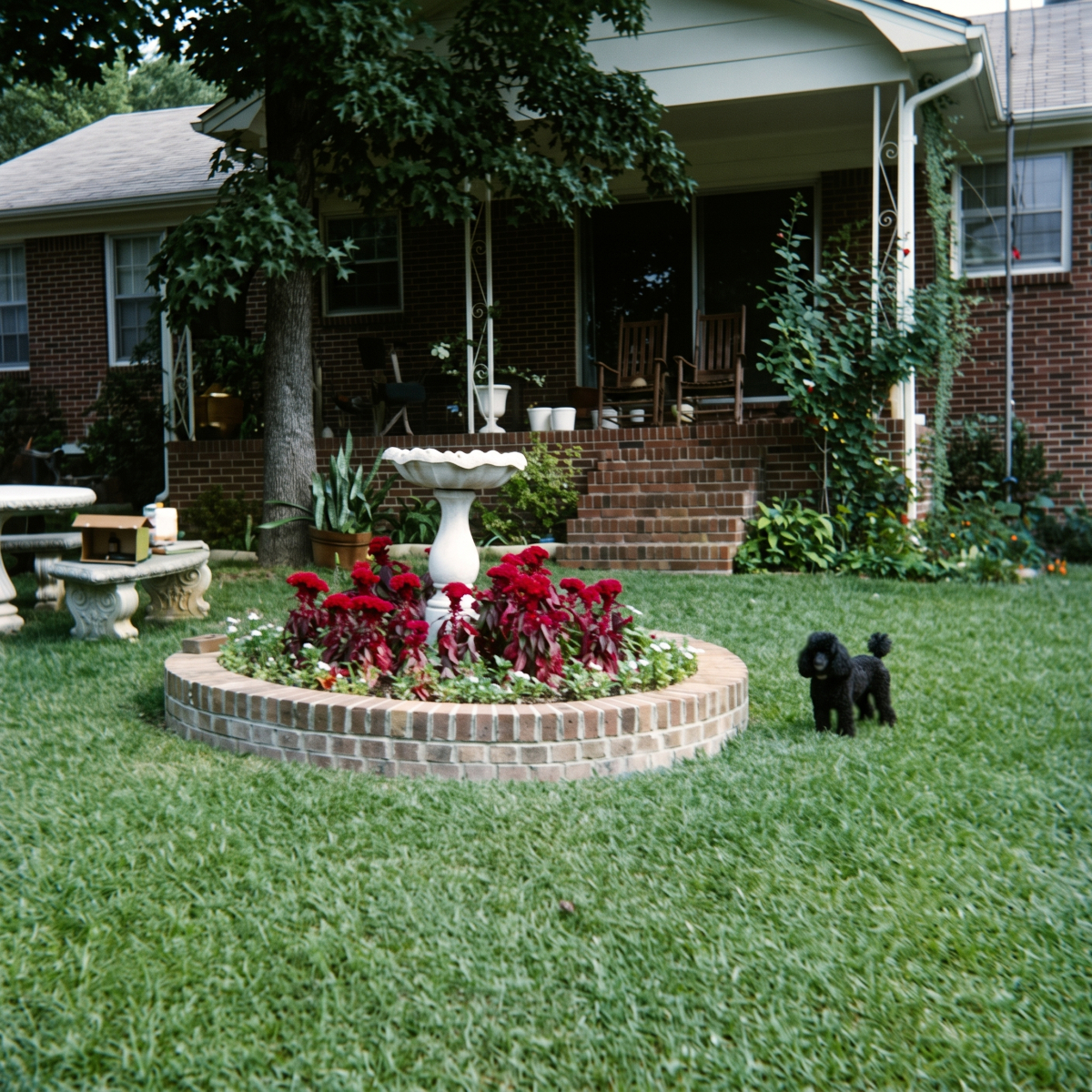 Full size photo